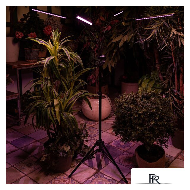 Лампа для растений Uniel ULT-P32-36W/SPLE/TM/40 IP40 BLACK QUAD UL-00008905 - Изображение №8 — Интернет-магазин ПроЗаказ