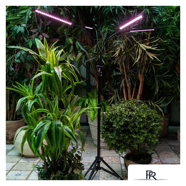 Лампа для растений Uniel ULT-P32-36W/SPLE/TM/40 IP40 BLACK QUAD UL-00008905 - Изображение №6 — Интернет-магазин ПроЗаказ