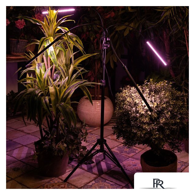 Лампа для растений Uniel ULT-P32-36W/SPLE/TM/40 IP40 BLACK QUAD UL-00008905 - Изображение №9 — Интернет-магазин ПроЗаказ