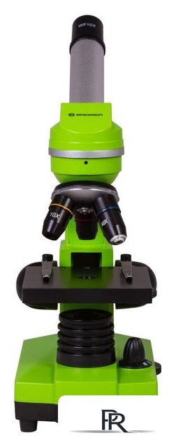 Детский микроскоп Bresser Junior Biolux SEL 40–1600x 74319 (зеленый) - Изображение №3 — Интернет-магазин ПроЗаказ