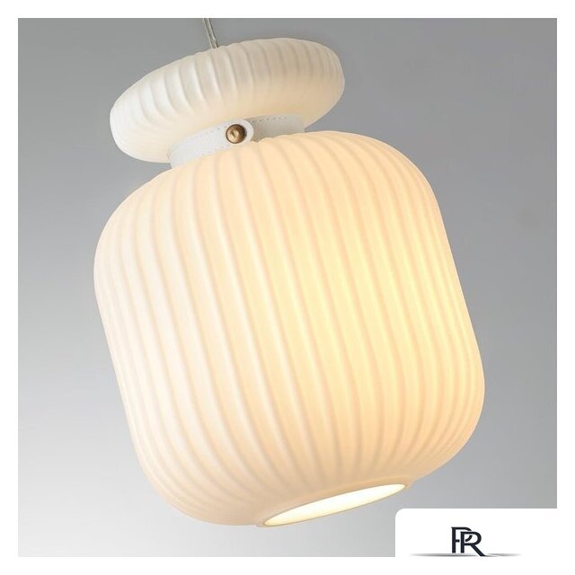 Подвесная люстра Odeon Light Jugi 5042/1C - Изображение №3 — Интернет-магазин ПроЗаказ