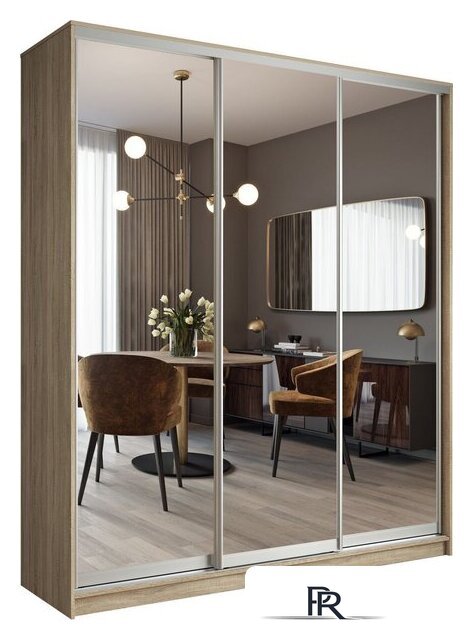 Шкаф-купе Евва АЭП ШК.3 01 233 SS.05 (дуб сонома/хром) - Изображение №1 — Интернет-магазин ПроЗаказ