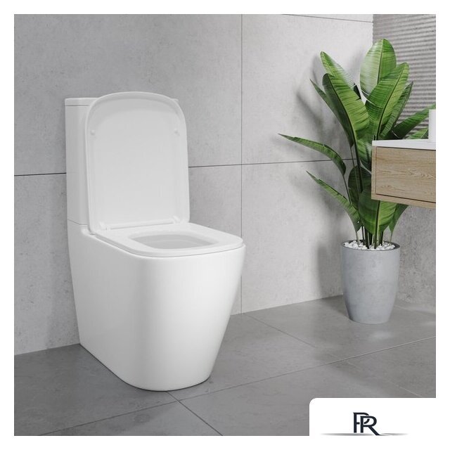 Унитаз напольный Lauter Vortex 2110012VF + гигиенический душ Rainix 21LT7714GL - Изображение №24 — Интернет-магазин ПроЗаказ