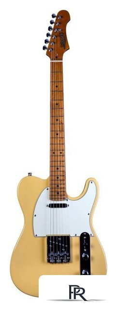 Электрогитара JET JT-300 BTS - Изображение №1 — Интернет-магазин ПроЗаказ