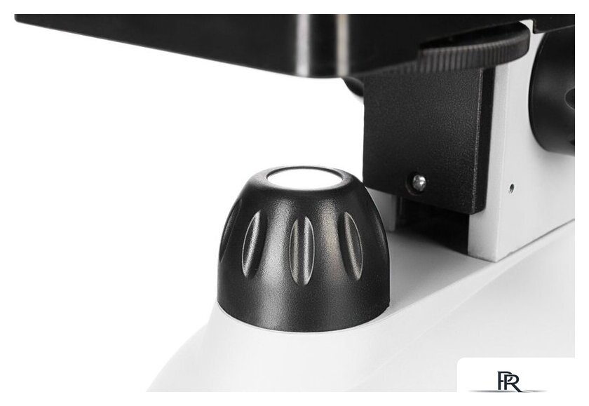 Микроскоп Levenhuk Discovery Nano Polar с книгой 77965 - Изображение №13 — Интернет-магазин ПроЗаказ