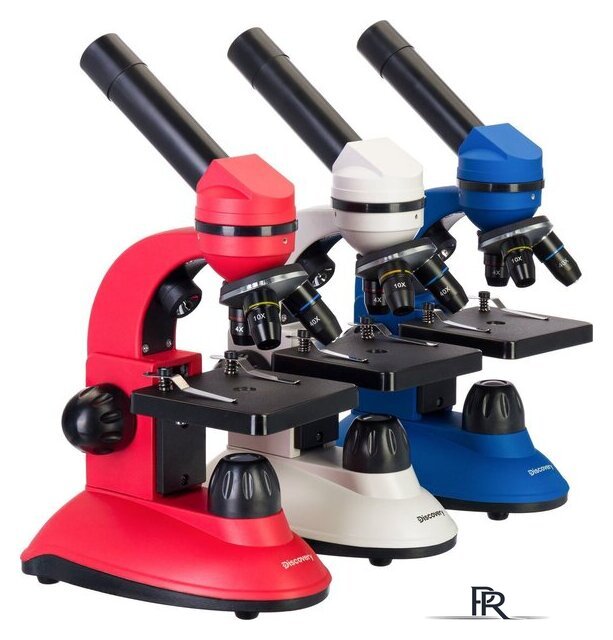 Микроскоп Levenhuk Discovery Nano Polar с книгой 77965 - Изображение №3 — Интернет-магазин ПроЗаказ