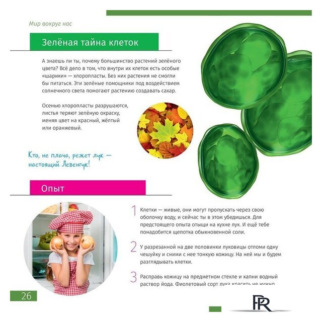 Микроскоп Levenhuk Discovery Nano Polar с книгой 77965 - Изображение №7 — Интернет-магазин ПроЗаказ