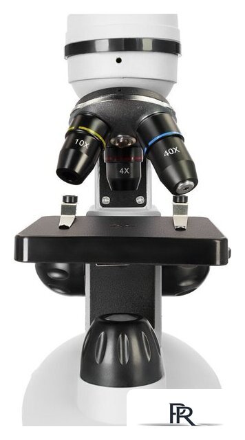 Микроскоп Levenhuk Discovery Nano Polar с книгой 77965 - Изображение №11 — Интернет-магазин ПроЗаказ