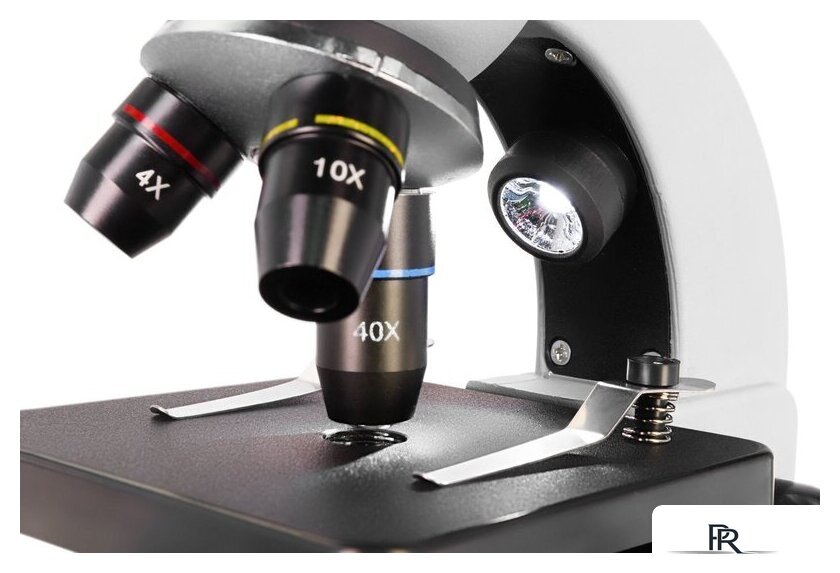 Микроскоп Levenhuk Discovery Nano Polar с книгой 77965 - Изображение №12 — Интернет-магазин ПроЗаказ