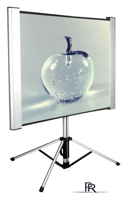 Проекционный экран CACTUS TriAlExpert 102x180 CS-PSTALE-180X102 - Изображение №1 — Интернет-магазин ПроЗаказ