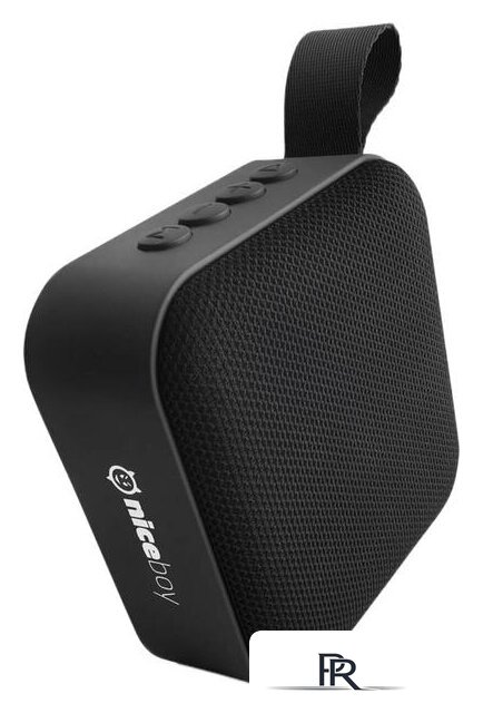 Беспроводная колонка Niceboy Raze Mini - Изображение №1 — Интернет-магазин ПроЗаказ