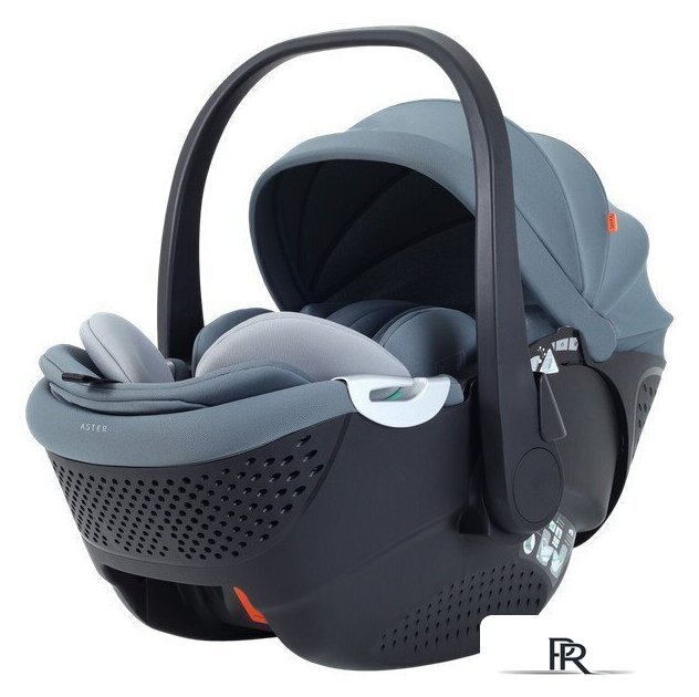 Детское автокресло Rant Aster Zero AY378 (графитовый) - Изображение №1 — Интернет-магазин ПроЗаказ