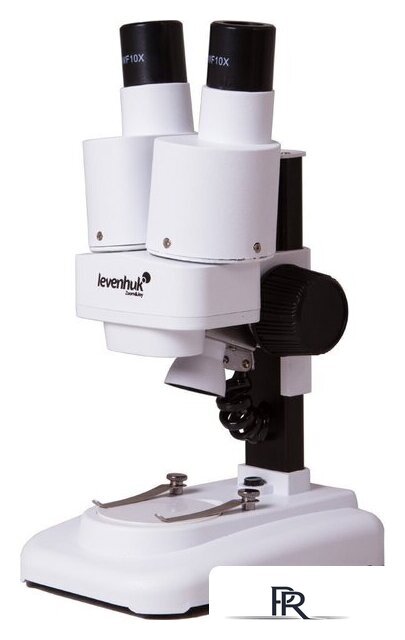 Микроскоп Levenhuk 1ST бинокулярный 70404 - Изображение №1 — Интернет-магазин ПроЗаказ