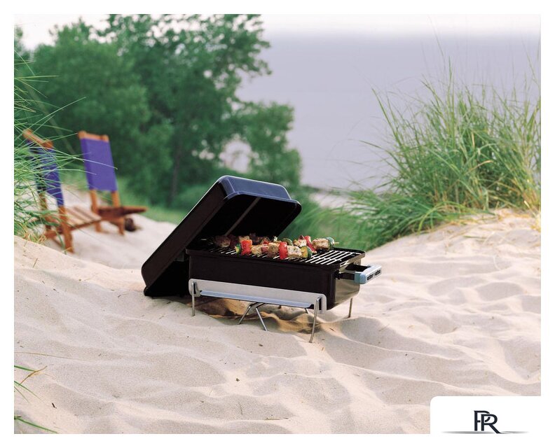 Гриль Weber Go-Anywhere GA-1131 - Изображение №13 — Интернет-магазин ПроЗаказ