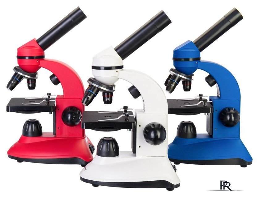 Микроскоп Levenhuk Discovery Nano Gravity с книгой 77959 - Изображение №2 — Интернет-магазин ПроЗаказ