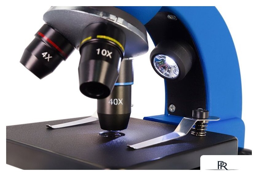 Микроскоп Levenhuk Discovery Nano Gravity с книгой 77959 - Изображение №12 — Интернет-магазин ПроЗаказ