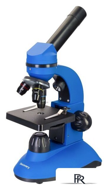Микроскоп Levenhuk Discovery Nano Gravity с книгой 77959 - Изображение №1 — Интернет-магазин ПроЗаказ