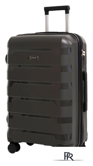 Чемодан-спиннер Pride PP-9602 (S, серый) - Изображение №1 — Интернет-магазин ПроЗаказ
