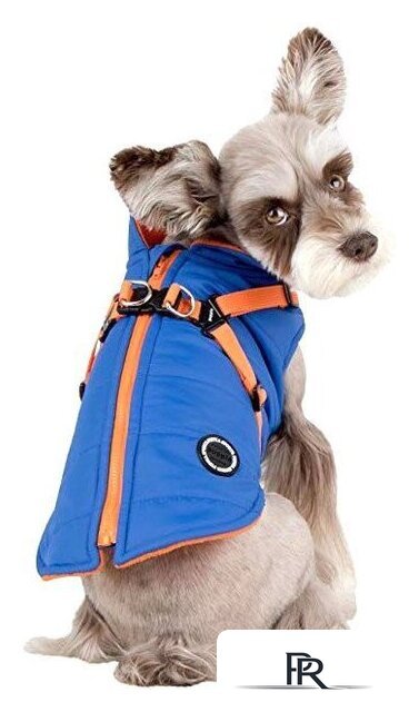 Шлейка-жилетка Puppia Mountaineer II PAPD-VT1366-RB-XXL (голубой) - Изображение №3 — Интернет-магазин ПроЗаказ