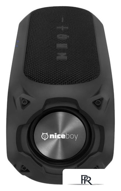 Беспроводная колонка Niceboy Raze 3 Radion - Изображение №2 — Интернет-магазин ПроЗаказ