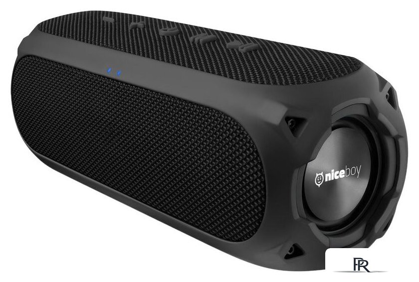 Беспроводная колонка Niceboy Raze 3 Radion - Изображение №1 — Интернет-магазин ПроЗаказ