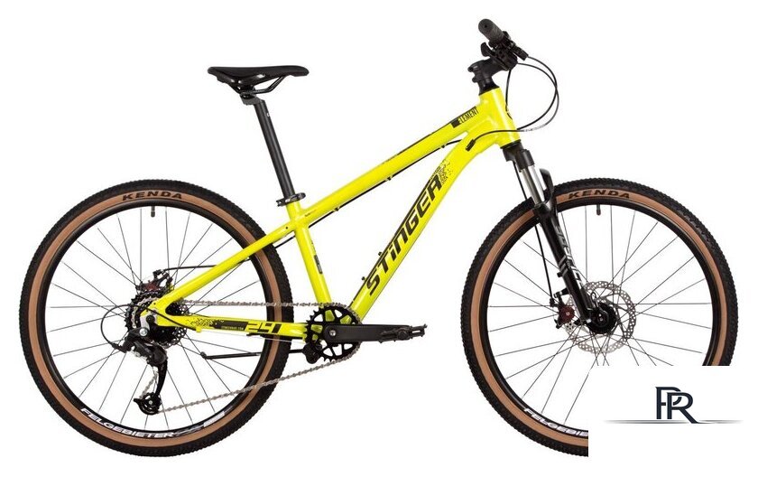 Велосипед Stinger Element 24 2025 (зеленый) - Изображение №1 — Интернет-магазин ПроЗаказ