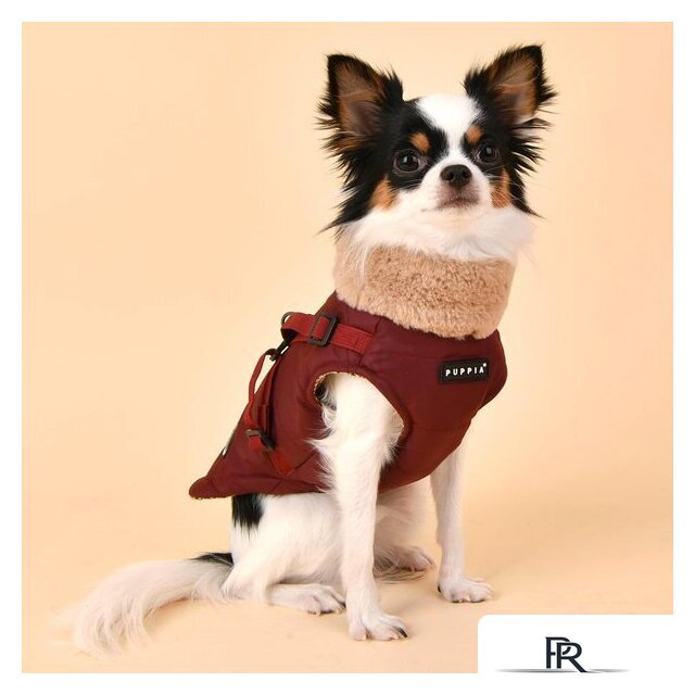 Куртка для животных Puppia Donavan PAUD-VT1853-WN-S (красный) - Изображение №3 — Интернет-магазин ПроЗаказ