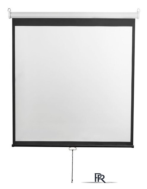 Проекционный экран Digis Optimal-D 248x189 DSOD-4304 - Изображение №1 — Интернет-магазин ПроЗаказ