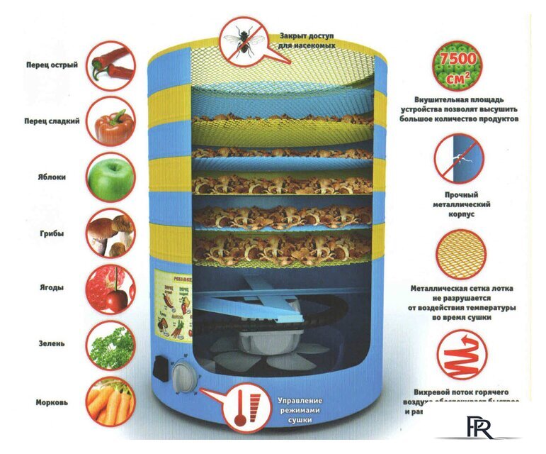 Сушилка для овощей и фруктов Элвин СУ-1 - Изображение №2 — Интернет-магазин ПроЗаказ