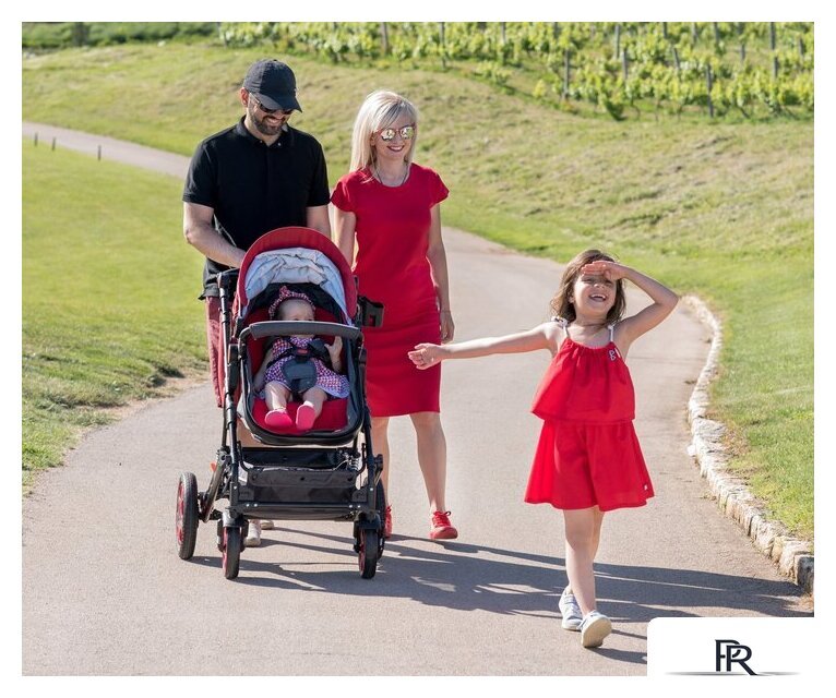 Универсальная коляска Lorelli Lora 2021 (2 в 1, luxe red elephants) - Изображение №19 — Интернет-магазин ПроЗаказ