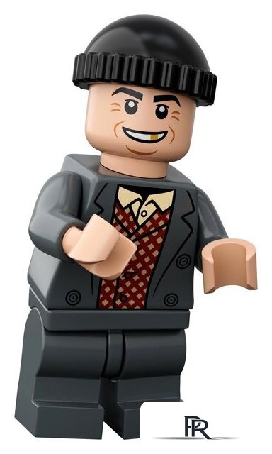 Конструктор LEGO Ideas 21330 Один дома - Изображение №12 — Интернет-магазин ПроЗаказ