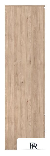 Шкаф распашной MyStar Сноули 900.1 ИВ-121.10 (гикори кингстон) - Изображение №3 — Интернет-магазин ПроЗаказ