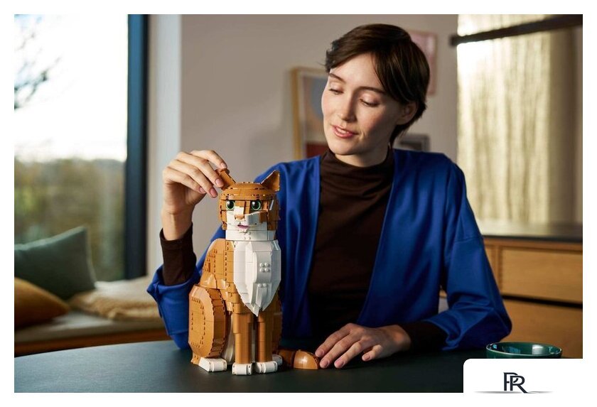 Конструктор LEGO Ideas 21376 Рыжий кот - Изображение №8 — Интернет-магазин ПроЗаказ