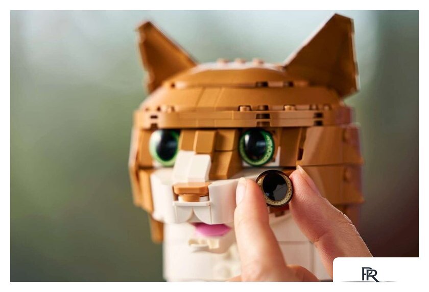 Конструктор LEGO Ideas 21376 Рыжий кот - Изображение №12 — Интернет-магазин ПроЗаказ
