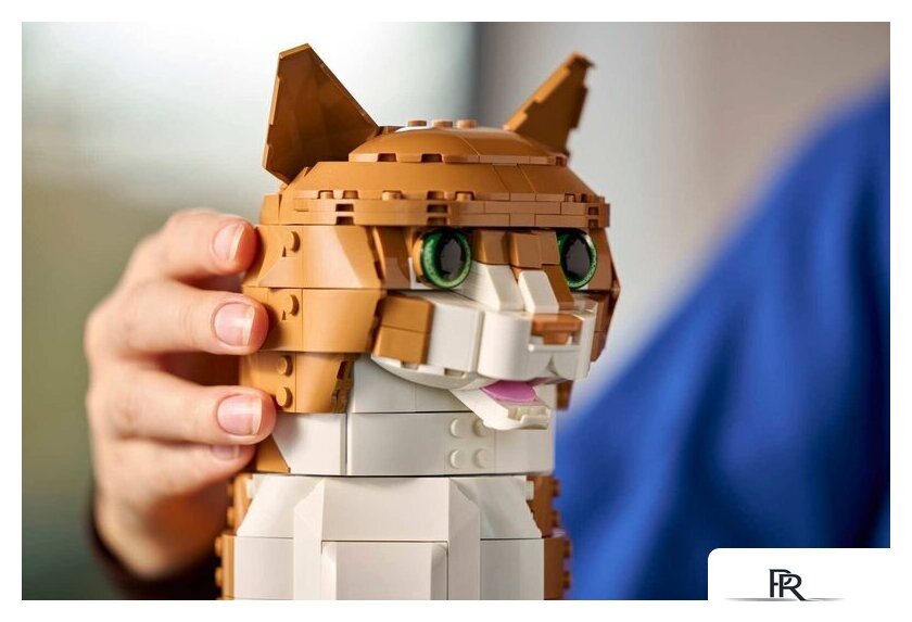 Конструктор LEGO Ideas 21376 Рыжий кот - Изображение №11 — Интернет-магазин ПроЗаказ