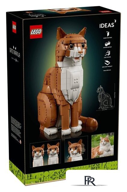 Конструктор LEGO Ideas 21376 Рыжий кот - Изображение №15 — Интернет-магазин ПроЗаказ