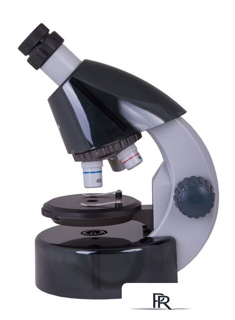 Детский микроскоп Levenhuk LabZZ M101 (лунный камень) 69032 - Изображение №4 — Интернет-магазин ПроЗаказ