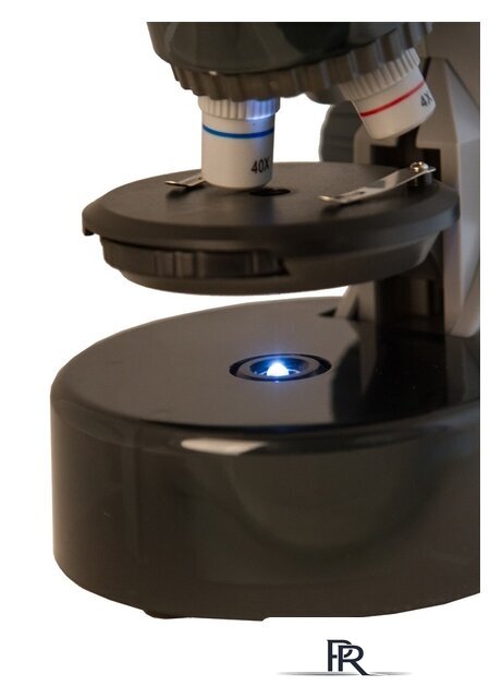 Детский микроскоп Levenhuk LabZZ M101 (лунный камень) 69032 - Изображение №8 — Интернет-магазин ПроЗаказ