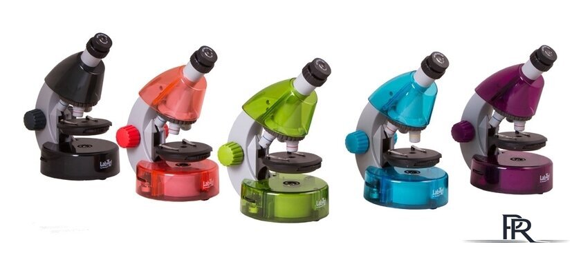 Детский микроскоп Levenhuk LabZZ M101 (лунный камень) 69032 - Изображение №12 — Интернет-магазин ПроЗаказ