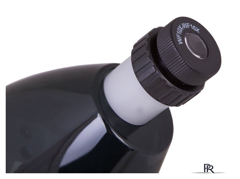 Детский микроскоп Levenhuk LabZZ M101 (лунный камень) 69032 - Изображение №6 — Интернет-магазин ПроЗаказ