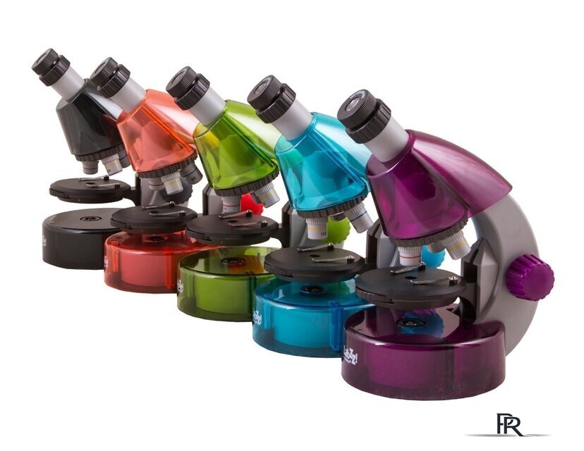 Детский микроскоп Levenhuk LabZZ M101 (лунный камень) 69032 - Изображение №13 — Интернет-магазин ПроЗаказ