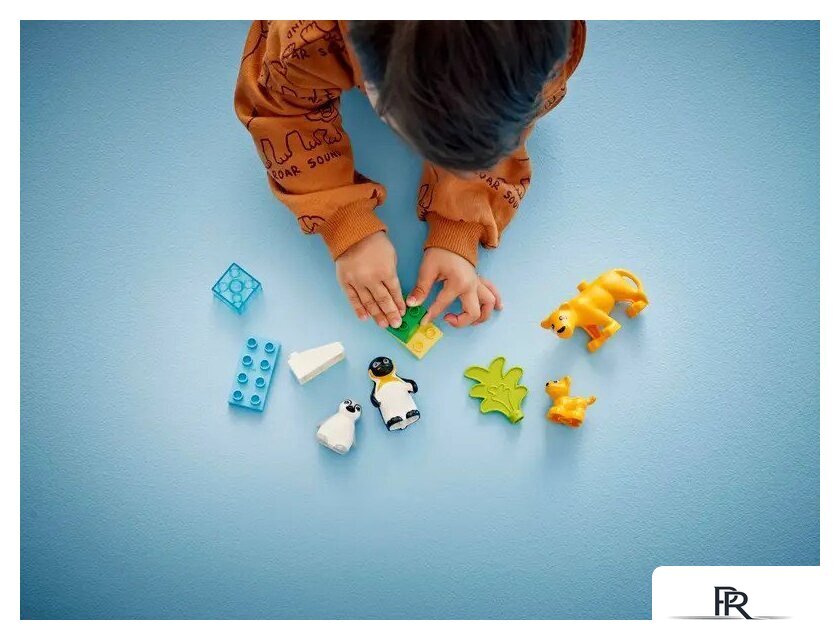Конструктор LEGO Duplo Семейства диких животных: Пингвины и Львы 10442 - Изображение №8 — Интернет-магазин ПроЗаказ