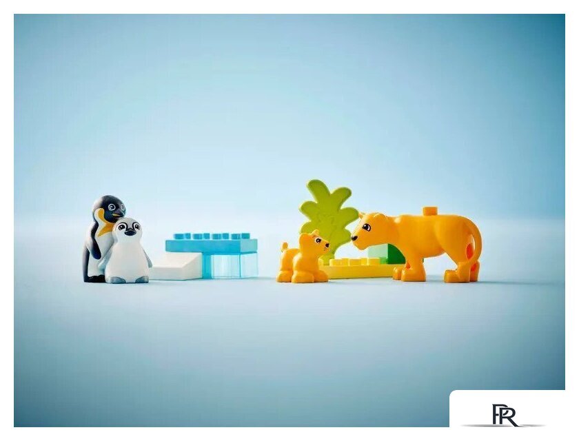 Конструктор LEGO Duplo Семейства диких животных: Пингвины и Львы 10442 - Изображение №9 — Интернет-магазин ПроЗаказ