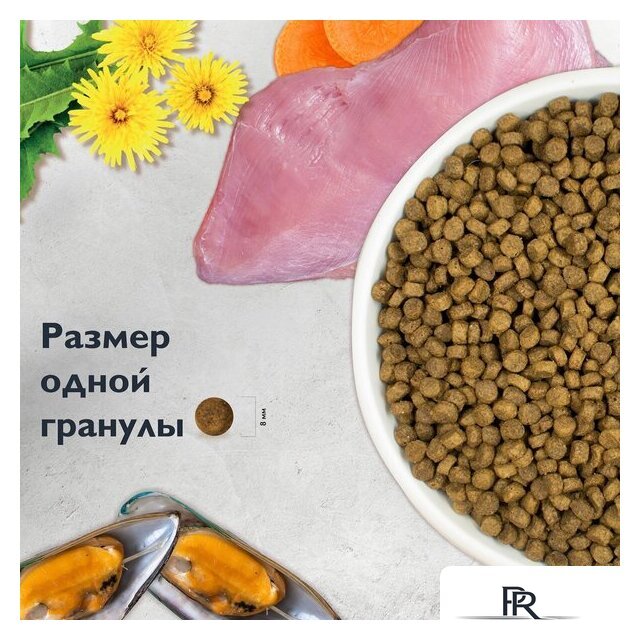 Сухой корм для кошек Brit care Superpremium Kitten с индейкой для котят, беременных и кормящих кошек (здоровый рост) 7 кг - Изображение №9 — Интернет-магазин ПроЗаказ