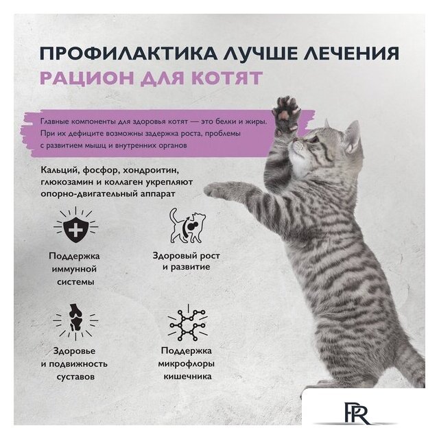 Сухой корм для кошек Brit care Superpremium Kitten с индейкой для котят, беременных и кормящих кошек (здоровый рост) 7 кг - Изображение №6 — Интернет-магазин ПроЗаказ