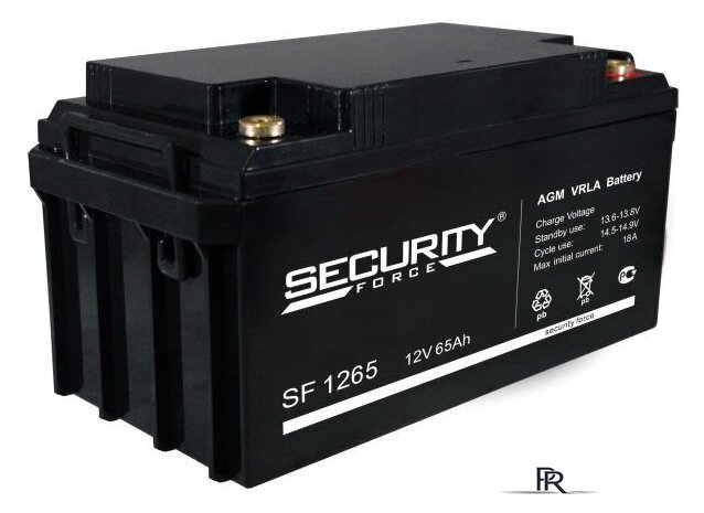Аккумулятор для ИБП Security Force SF 1265 (12В/65 А·ч) - Изображение №1 — Интернет-магазин ПроЗаказ