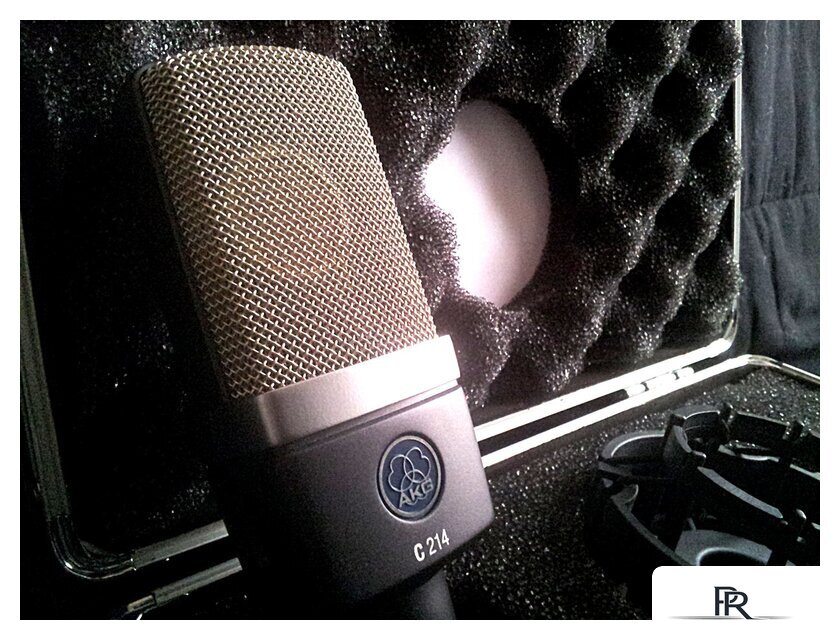 Проводной микрофон AKG C214 - Изображение №6 — Интернет-магазин ПроЗаказ
