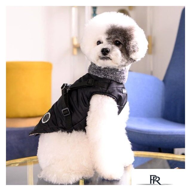 Куртка для животных Puppia Donavan PAUD-VT1853-BK-XXL (черный) - Изображение №4 — Интернет-магазин ПроЗаказ