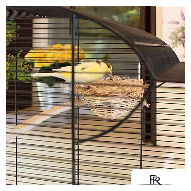 Клетка Ferplast Canto 52501217 - Изображение №9 — Интернет-магазин ПроЗаказ