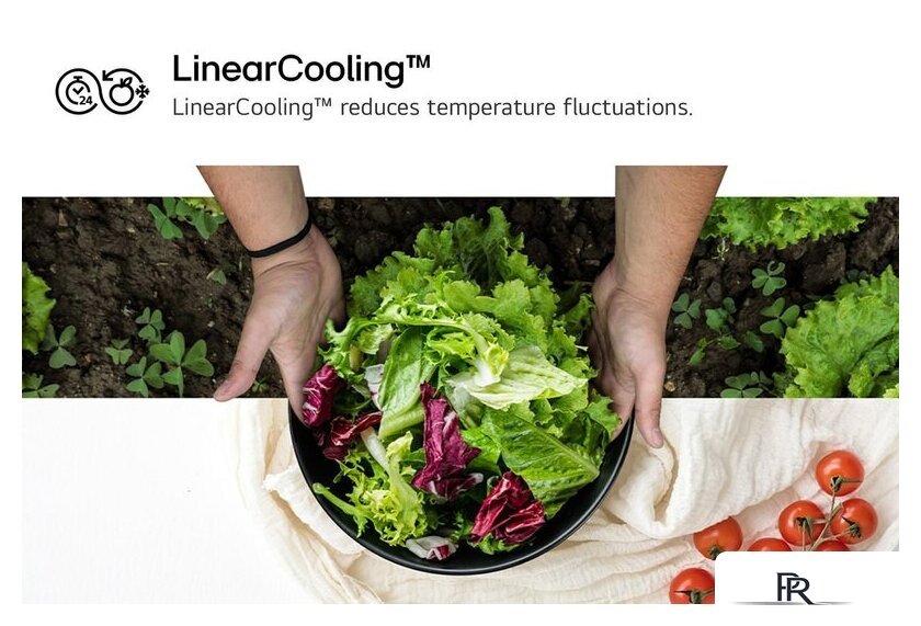 Холодильник LG DoorCooling+ GBV7280AEV - Изображение №12 — Интернет-магазин ПроЗаказ